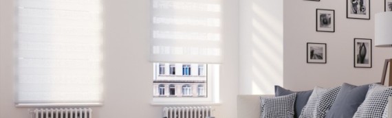 Zebra Blinds