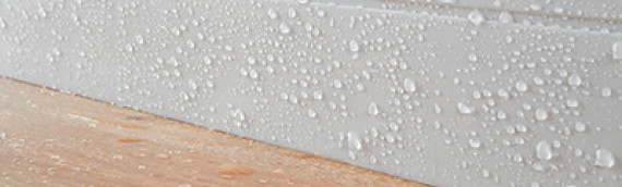 Skirting